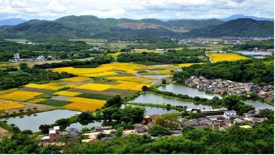 美丽的增江从莲塘村的东边环绕而过,村庄四周田园山林错落连绵, 绿道